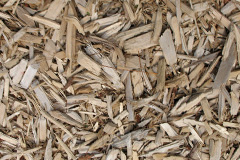 biomass boilers Vernolds Common